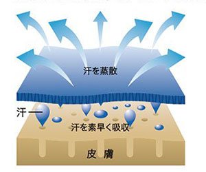 速乾性