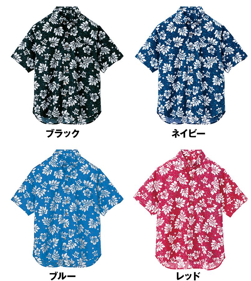 色展開
